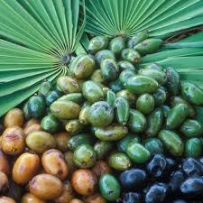 Saw Palmetto Extract